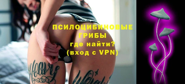 ГАЛЛЮЦИНОГЕННЫЕ ГРИБЫ Баксан