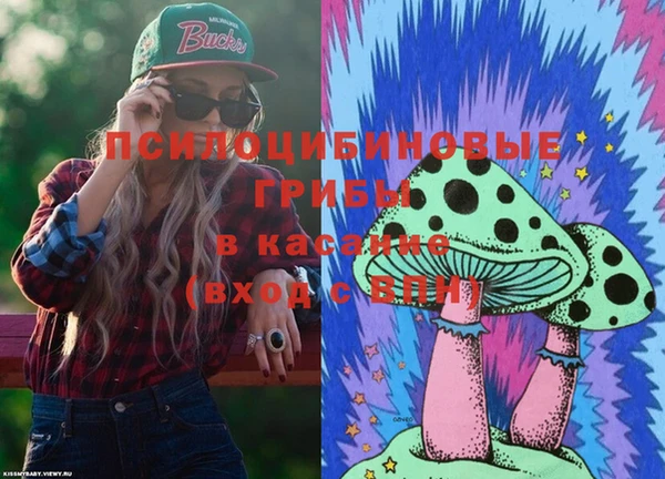 ГАЛЛЮЦИНОГЕННЫЕ ГРИБЫ Баксан