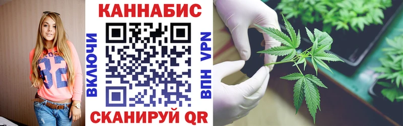 Конопля Amnesia  Городище 